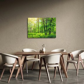 Tablou - Pădurea cu frunze de primăvară (70x50 cm)