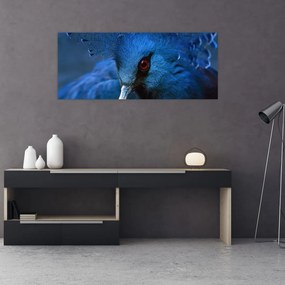 Tablou - Porumbel încoronat (120x50 cm)