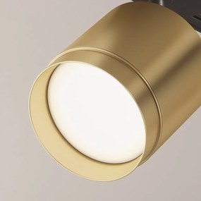 Accesoriu, Spot pentru sinele monofazate Unity, Polar auriu mat