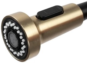 REA-B4821 - Baterie pentru chiuvetă COLIN, cu pulverizator extractibil, 42,5 cm, aur periat