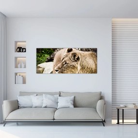 Tablou cu leoaică (120x50 cm), în 40 de alte dimensiuni noi