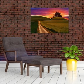 Tablou câmpului cu apus de soare (90x60 cm)