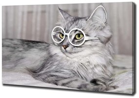 Imprimare tablou canvas Cat cu ochelari