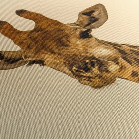 Tablou cu girafe (70x50 cm)