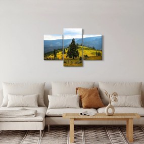 Tablou - Lunca de munte (90x60 cm)
