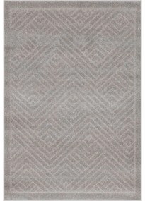 Covor gri 240x330 cm Lori – FD