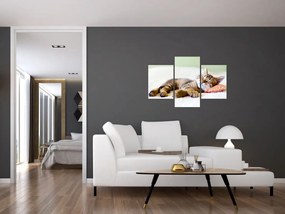 Tablou - Pisicuța adormită (90x60 cm)