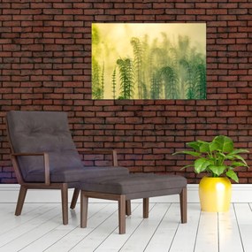 Tablou - Detaliu de primăvară natura cețoasă (90x60 cm)