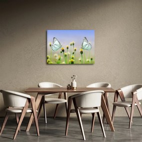 Tablou cu fluture pe floare (70x50 cm)