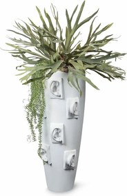 Aranjament floral mare OBICE DAVID EARS LOTUS PLATYCERUM