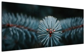 Tablou -Crenguțe ale unui conifer (120x50 cm)