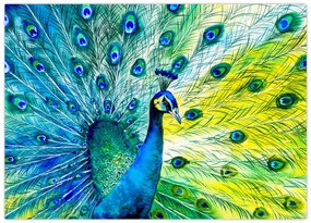 Tablou pe sticlă - Păun (70x50 cm)