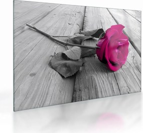 Tablou pe sticlă - Trandafir roz (70x50 cm)