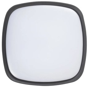 Aplica / Plafoniera pentru iluminat exterior IP65, Austin antracit 8797 RX