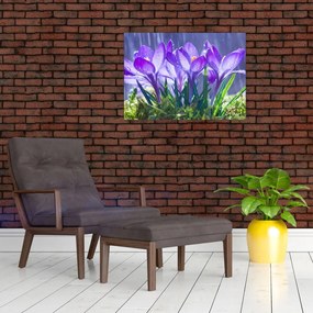 Tablou pe sticlă cuflori în ploaie (70x50 cm)
