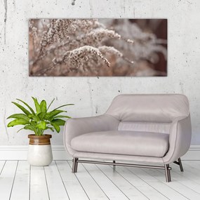 Tablou cu plante (120x50 cm)