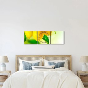 Tablou cu lămâi (cu ceas) (90x30 cm)