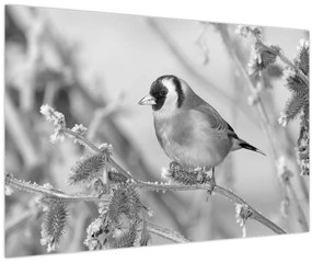 Tablou - O pasăre în timpul iernii (90x60 cm)