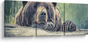 Tablou cu urs (cu ceas) (90x30 cm)
