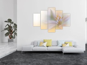 Tablou - Floare fragedă (150x105 cm)