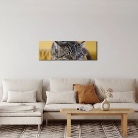 Tablou cu pisica pe fotoliu (cu ceas) (90x30 cm)