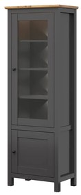 Vitrină Hesen REG1W1D/20/7 (cu iluminat LED) (grafit + Stejar artisan). 1062517
