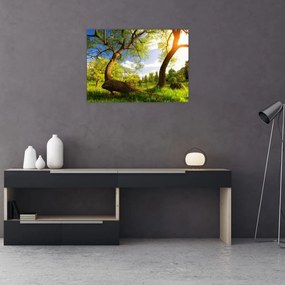 Tablou pe sticlă lunca ne primăvară (70x50 cm)