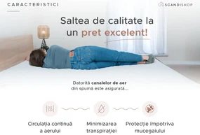 Saltea spuma DELUXE 180 x 200 cm Protectie saltea: Incluzine protectia de saltea