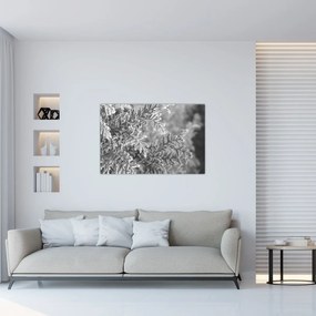 Tablou - Pădure de molid (90x60 cm)