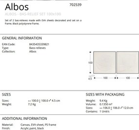 Set de 2 tablouri / Basorelief decoratiune perete Albos 100x100cm
