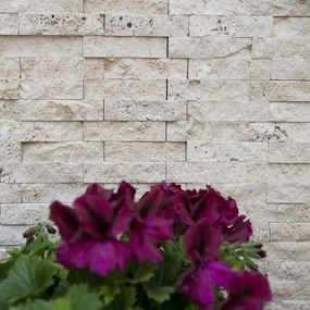 Mozaic Travertin Classic Scapitat 2.5 x 10cm