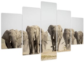 Tablou - Turmă de elefanți (150x105 cm)
