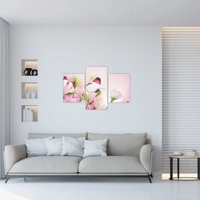 Tablou - Fluturele (90x60 cm)