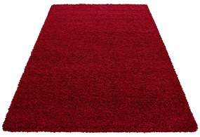 Covor roșu 120x170 cm Life – Ayyildiz Carpets