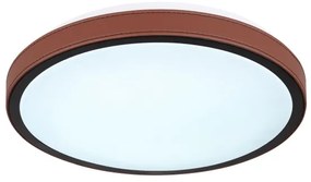 Plafonieră LED SAMMI LED/12W/230V 3000/4500/6000K Globo 41766-12