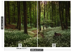 Fototapet Spring Forest