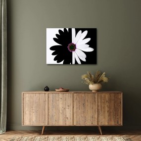 Tablou - Floare, alb- negru (70x50 cm)