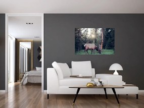 Tablou - Elan în poiană (90x60 cm)