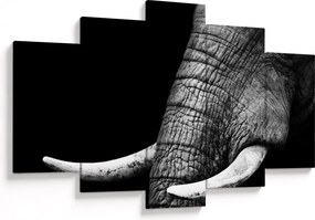 Tablou - Colți de elefant (150x105 cm)