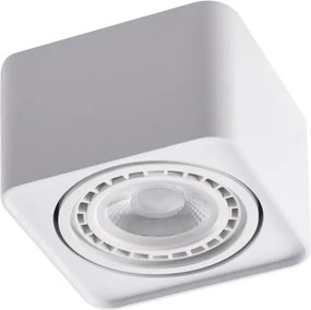 Spot aplicat PAOLA 1 230V WH