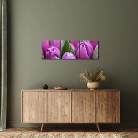 Tablou - florile lalelelor (cu ceas) (90x30 cm)