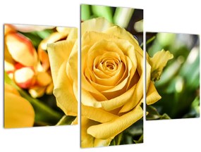 Tablou cu trandafir (90x60 cm)