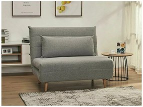 Fotoliu extensibil gri SPIKE