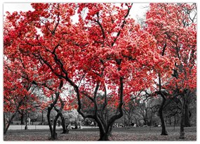 Tablou pe sticlă - Copacii roșii, Central Park, New York (70x50 cm)