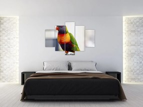 Tablou cu papagal (150x105 cm)