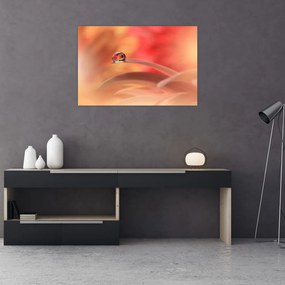 Tablou picăturii de rouă pe floare (90x60 cm)