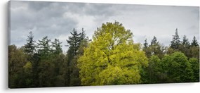 Tablou - Copac verde în câmp (120x50 cm)