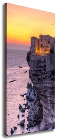 Imprimare tablou canvas Case pe stâncă