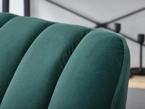 Fotoliu Bertie (verde + fag negru). 1109880