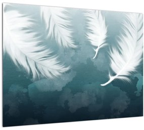 Tablou pe sticlă - Pene albe (70x50 cm)